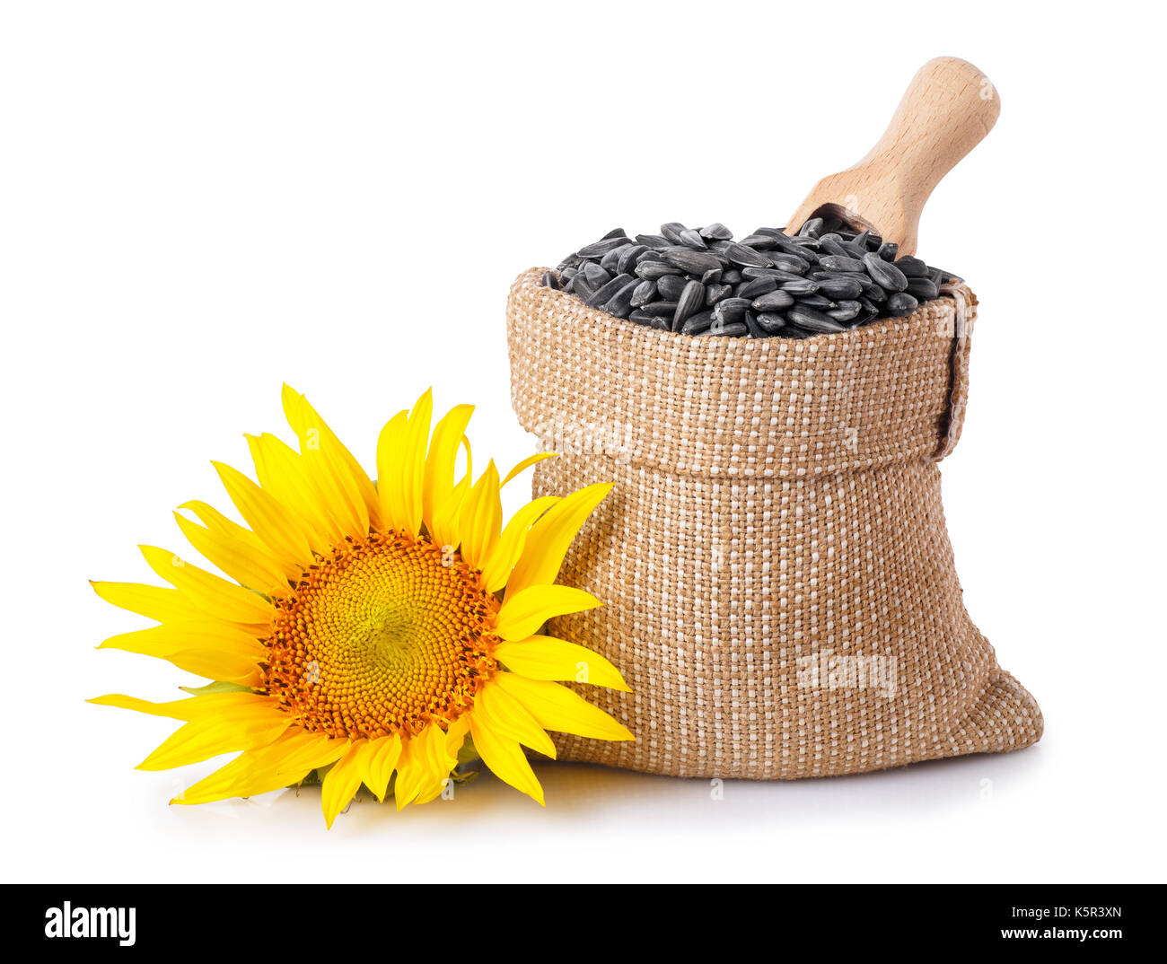 Semi di girasole e scoop nel sacco, fresco di Girasole giallo isolato su sfondo bianco. tracciato di ritaglio Foto Stock