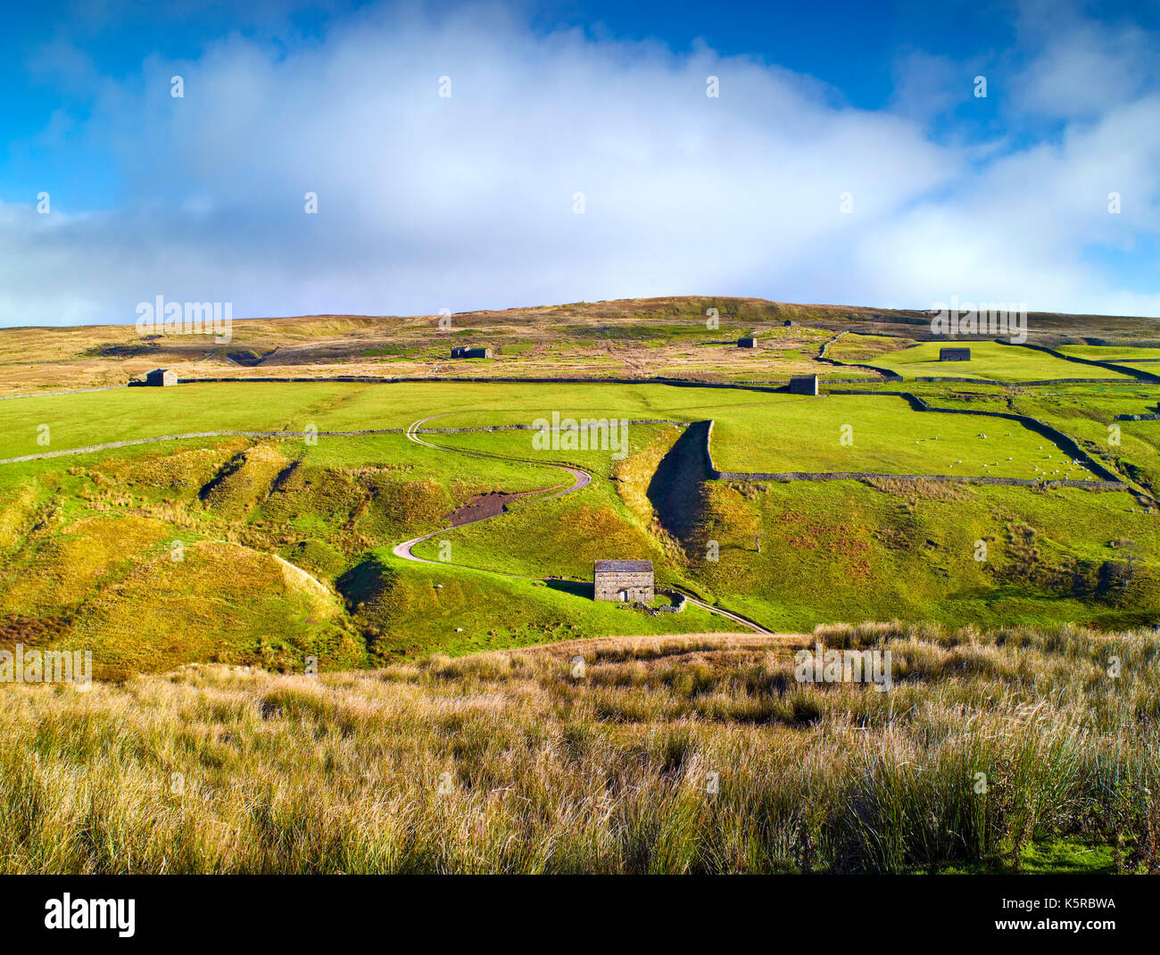 Una vista di fienili sparsi nel suggestivo paesaggio di swaledale, North Yorkshire, Inghilterra Foto Stock