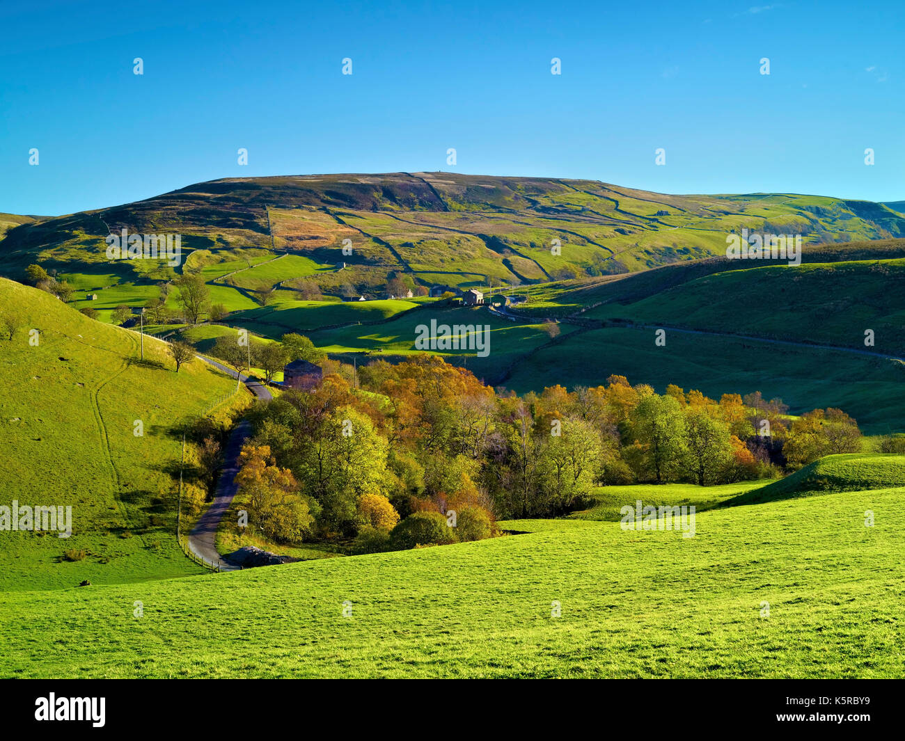 Una vista durante la stagione autunnale del swaledale fells vicino thwaite nel Yorkshire Dales Foto Stock