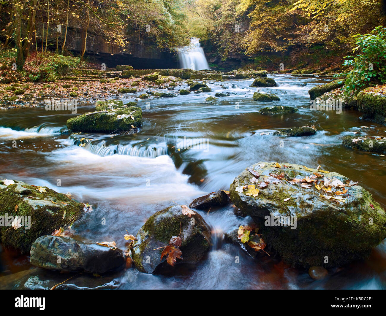 Una vista di West Burton cade, Wensleydale, North Yorkshire al picco dell'autunno. Foto Stock