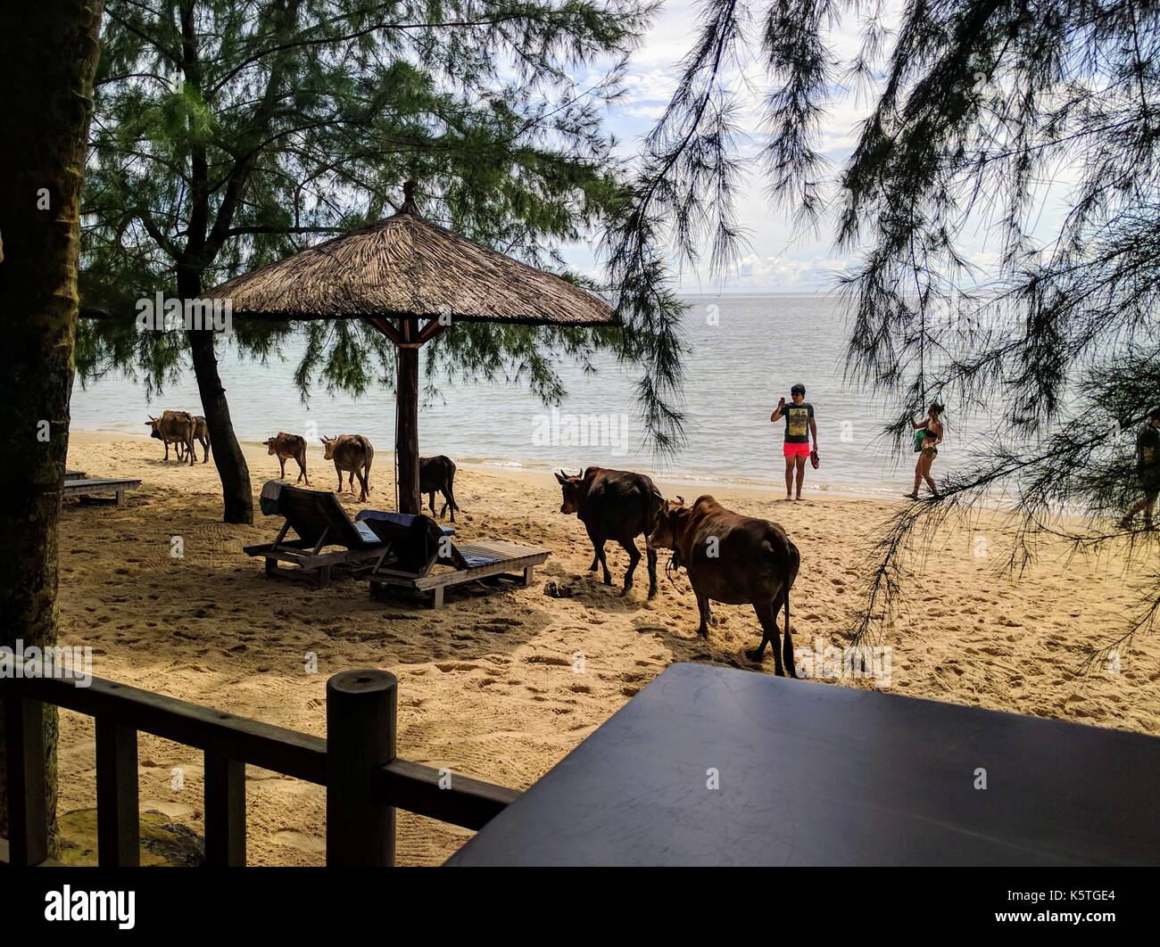 Phu Quoc spiaggia di giorno, Vietnam Foto Stock