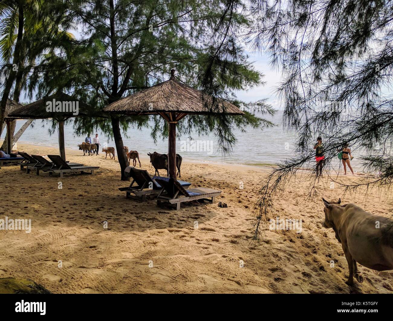 Phu Quoc spiaggia di giorno, Vietnam Foto Stock