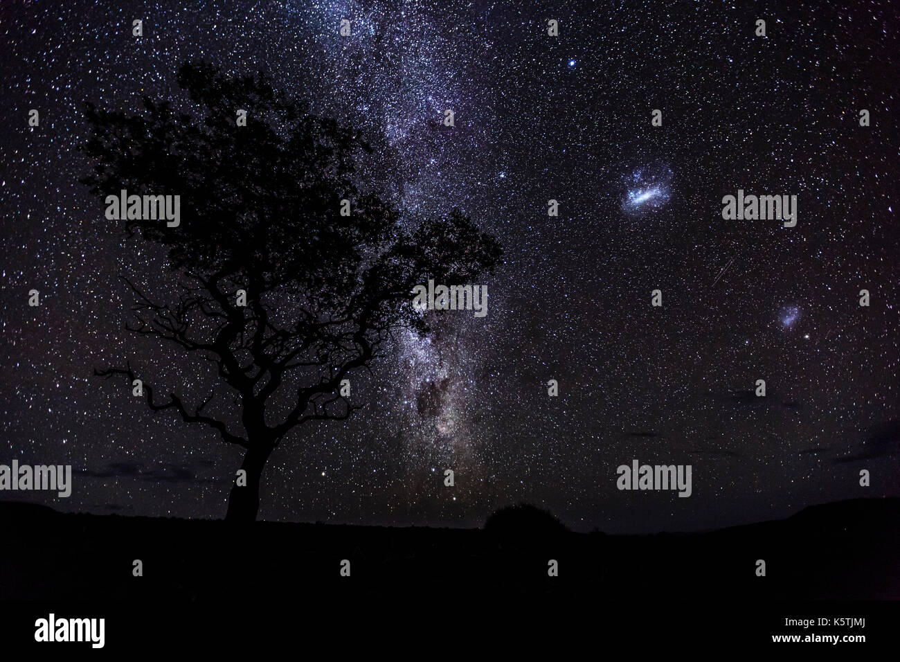 La via lattea nel cielo notturno africano, acacia, damaraland, regione kunene, Namibia Foto Stock