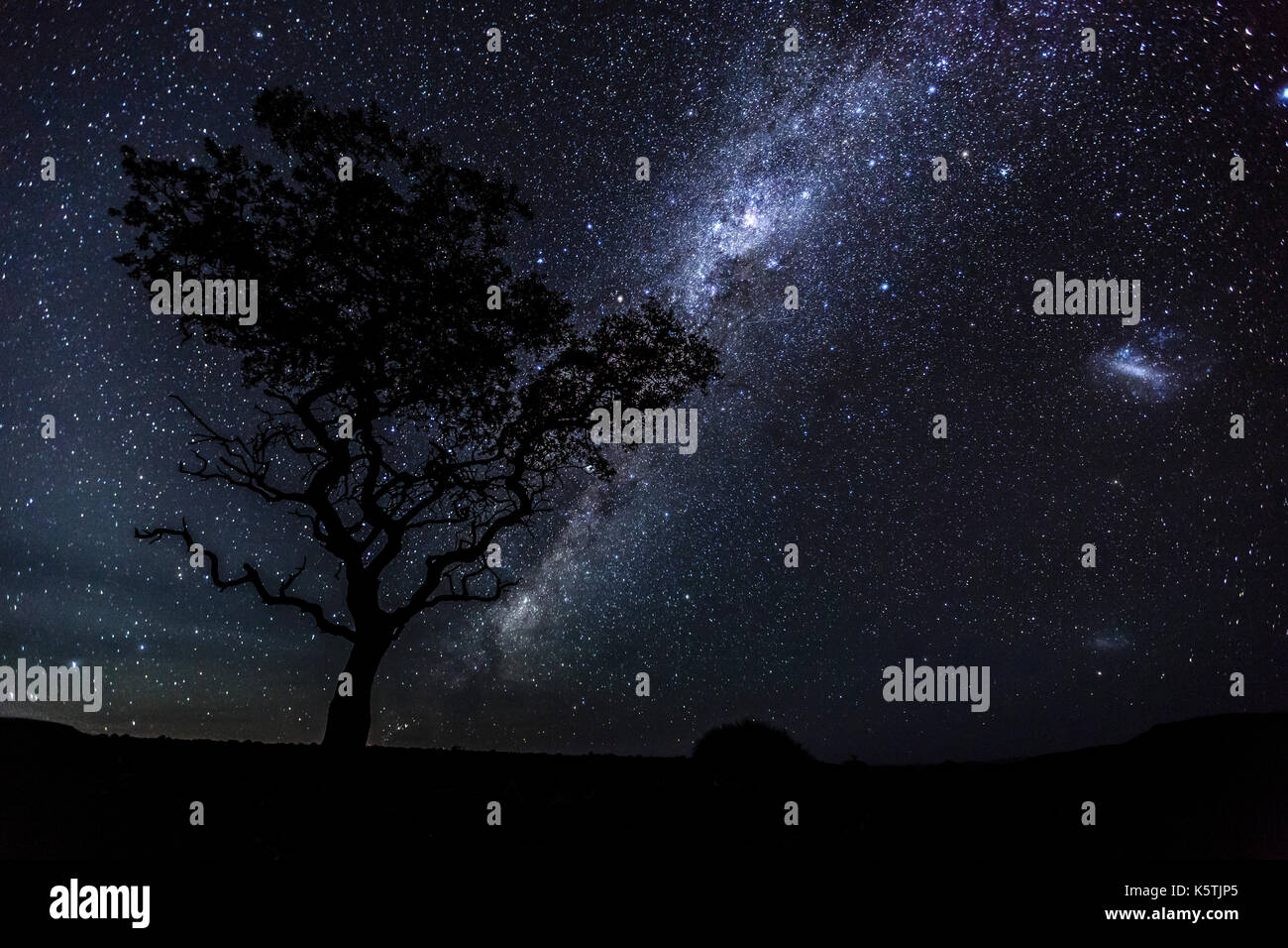 La via lattea nel cielo notturno africano, acacia, damaraland, regione kunene, Namibia Foto Stock