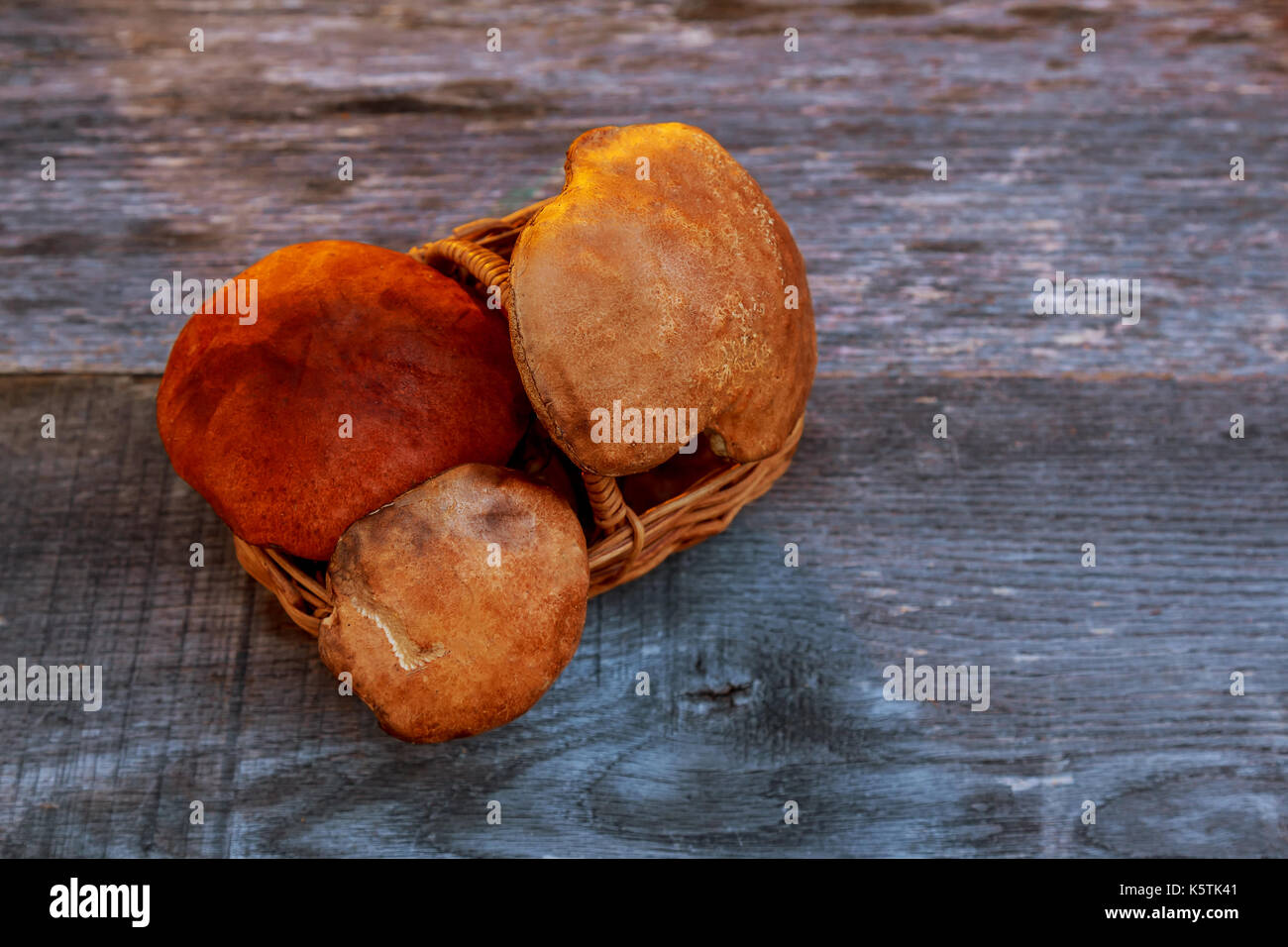 Varietà di crudo foresta selvaggia di funghi in un cesto su una tavola di legno vecchio bordo. Vista dall'alto. Foto Stock