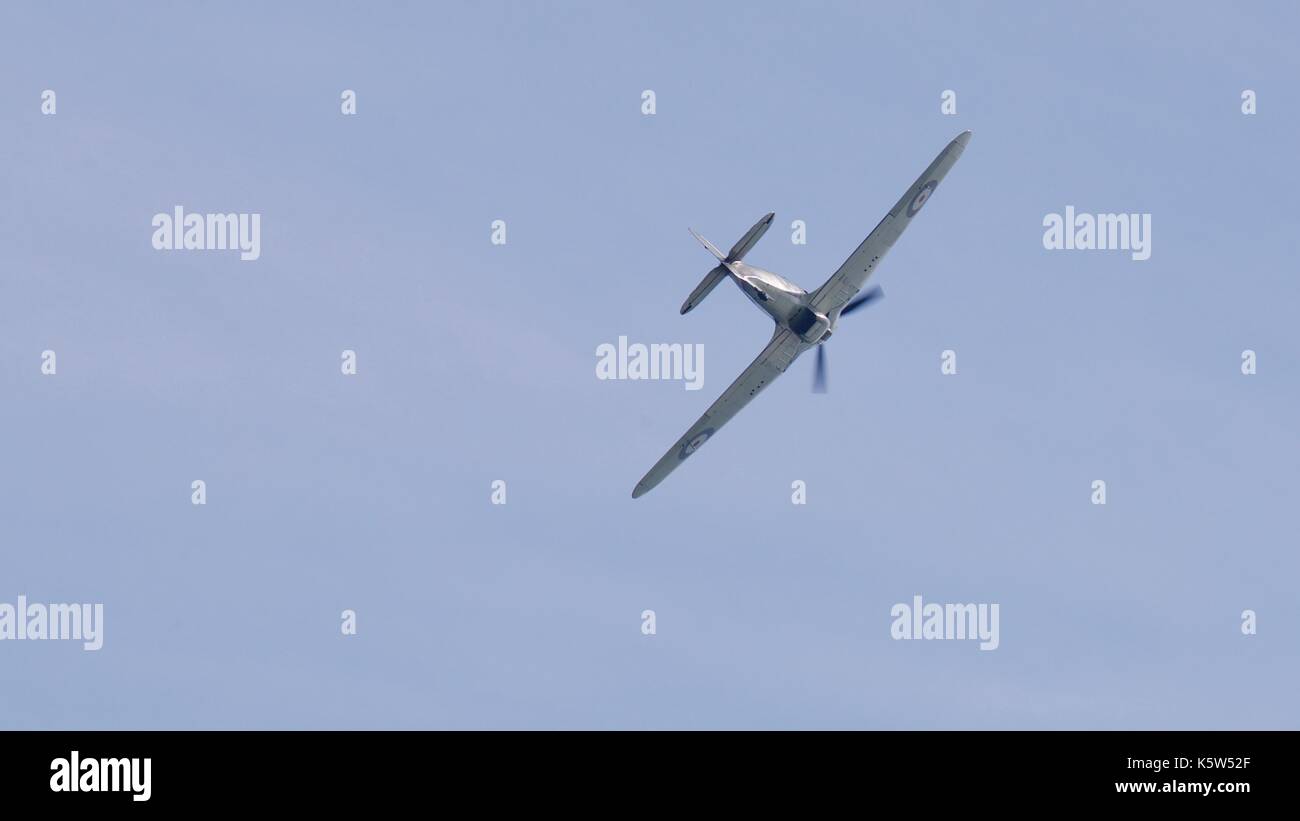 Hawker Hurricane P2921 Foto Stock