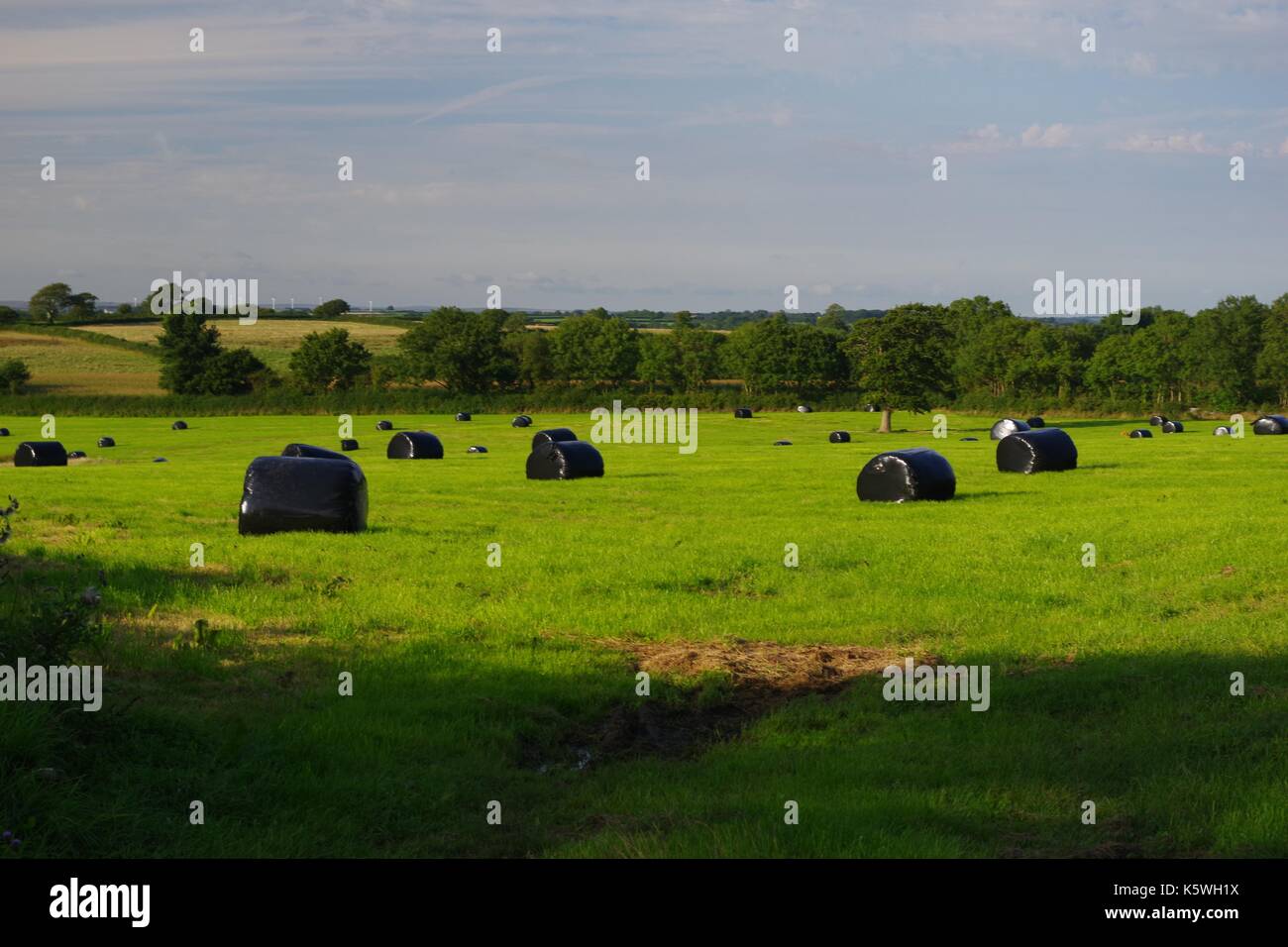 Vibrante terreni agricoli pastorale dopo il raccolto estivo. morchard vescovo, metà devon, Regno Unito. agosto, 2017. Foto Stock