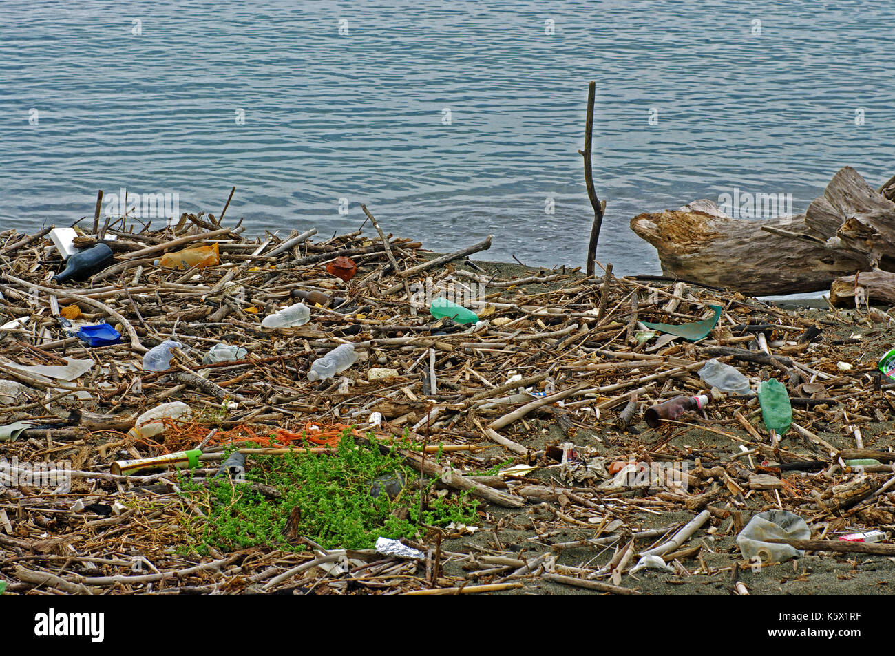 Inquinamento ambientale: le bottiglie di plastica che un fiume porta nel mar Mediterraneo (Italia, settembre 2016) Foto Stock