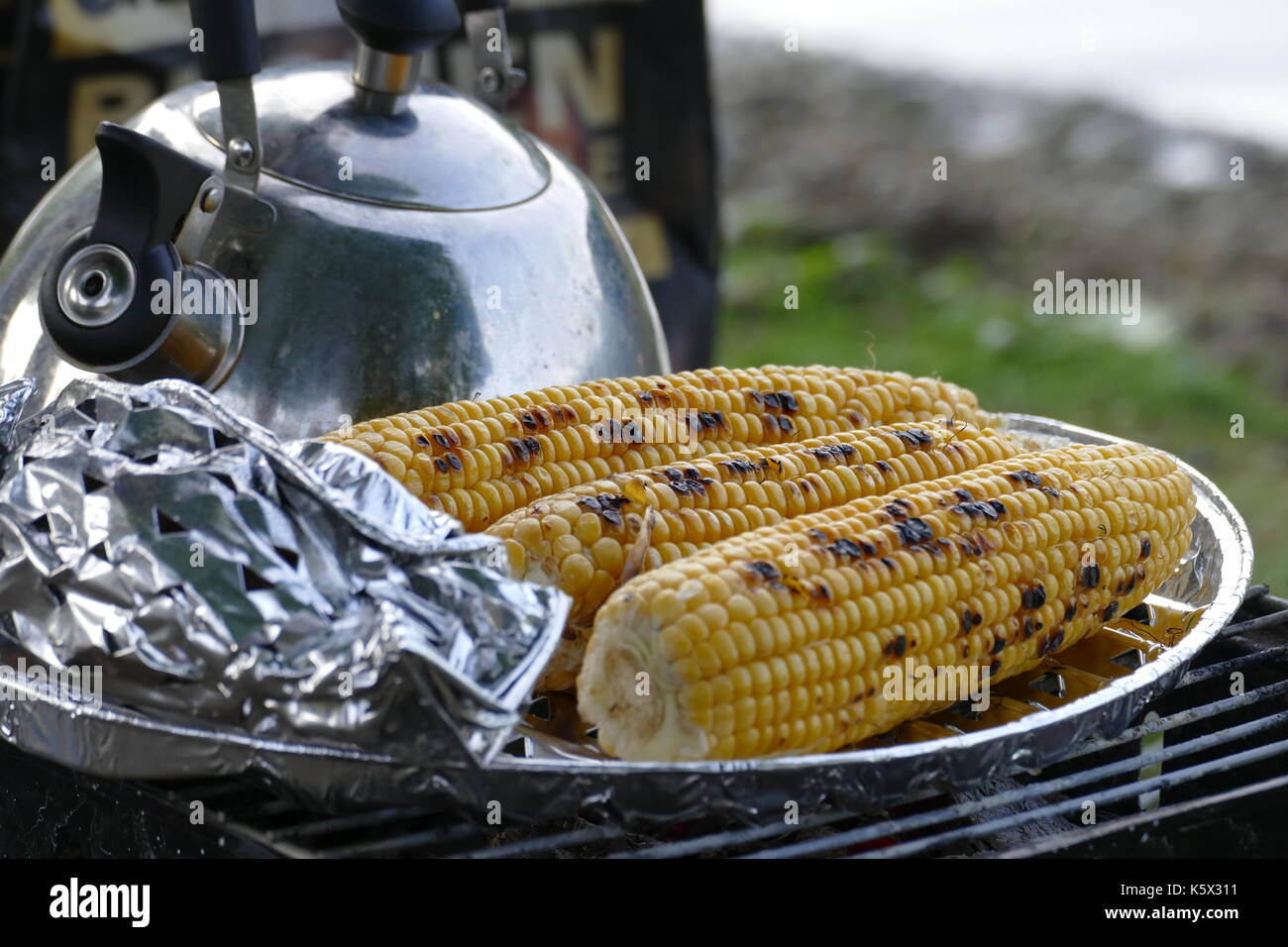 tempo di barbecue Foto Stock