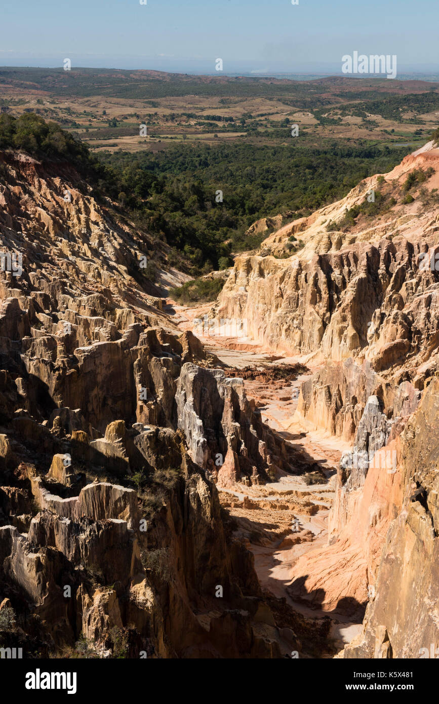 Canyon di Ankarokaroka, Ankarafantsika Parco nazionale del Madagascar Foto Stock