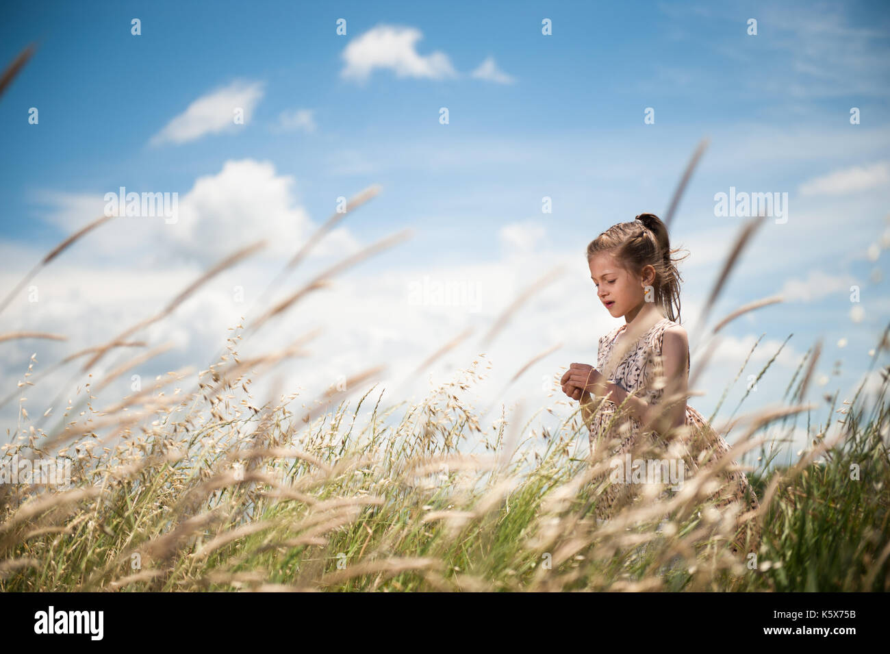 Trasognata bel giovane ragazza in un abito bello tra i campi di segale contro il bellissimo cielo Foto Stock