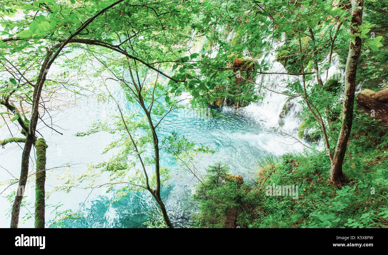 Bella cascata in estate foresta verde. Foto Stock