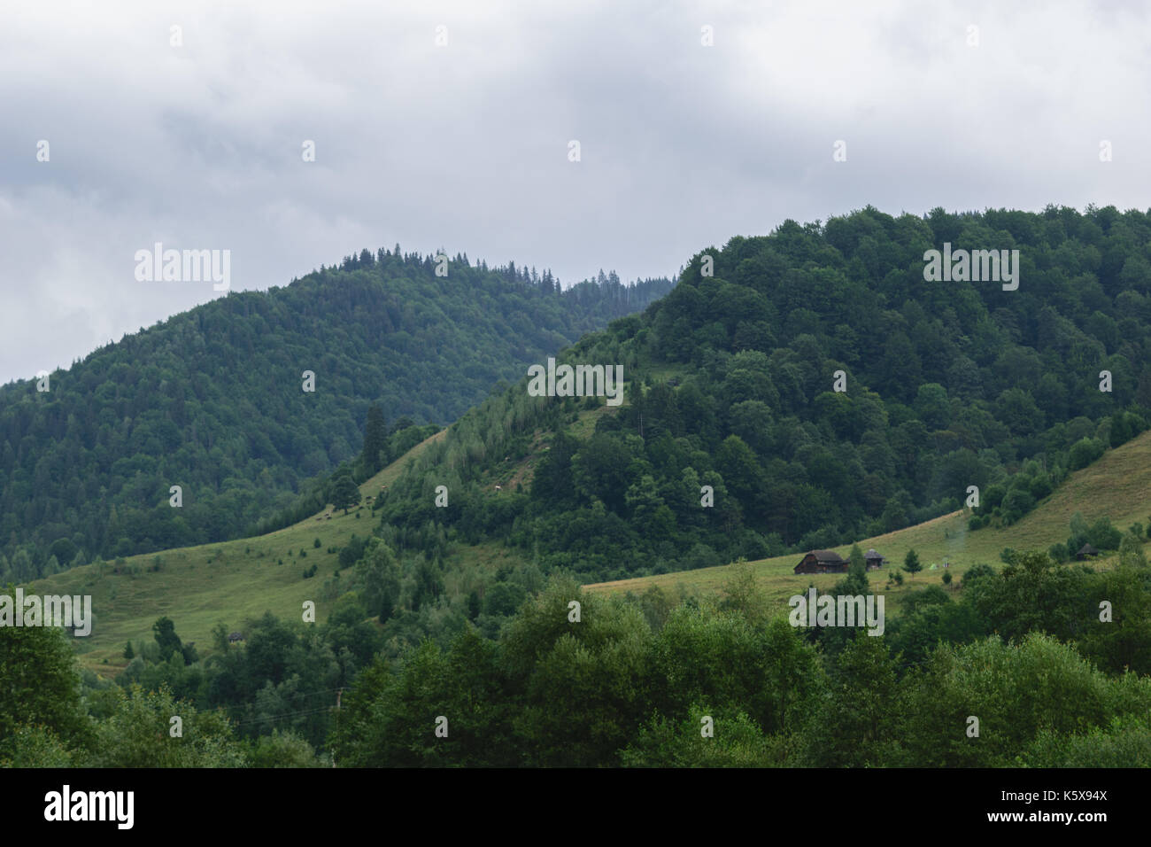 Verdi colline coperte con il verde della foresta e tempestoso cielo cloud Foto Stock