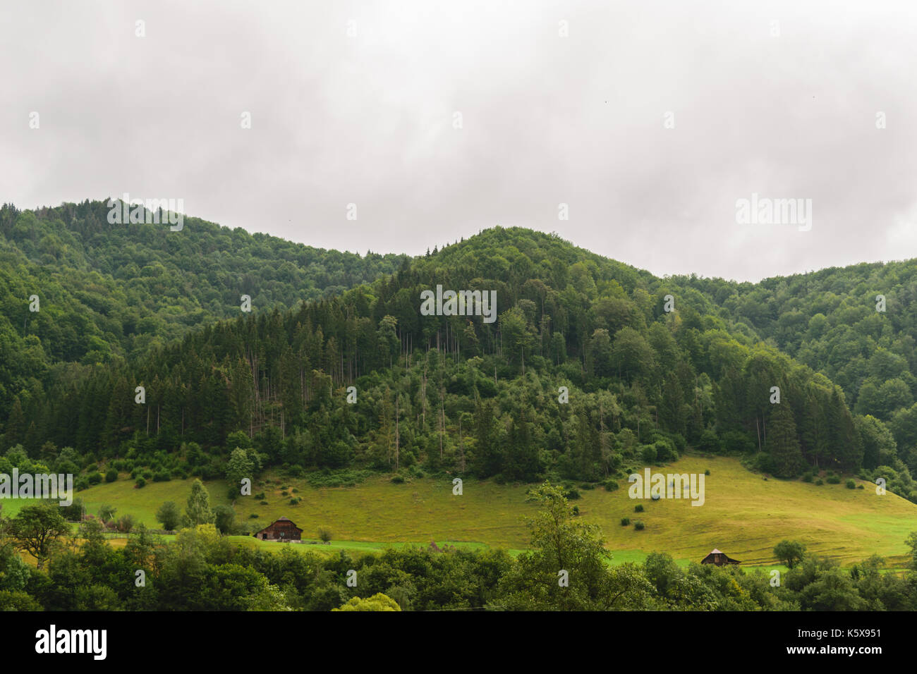 Verdi colline coperte con il verde della foresta e tempestoso grigio cielo nuvoloso Foto Stock