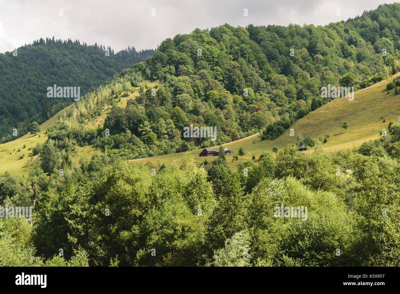 Verdi colline coperte con il verde della foresta e tempestoso grigio cielo nuvoloso Foto Stock