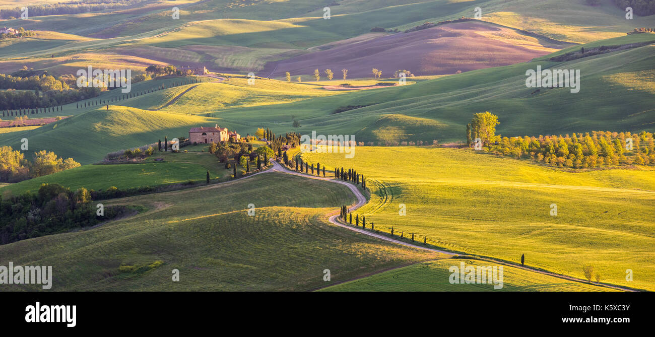 Il paesaggio toscano in val d'orcia, Italia Foto Stock Il paesaggio toscano in val d'orcia, Italia Foto Stock