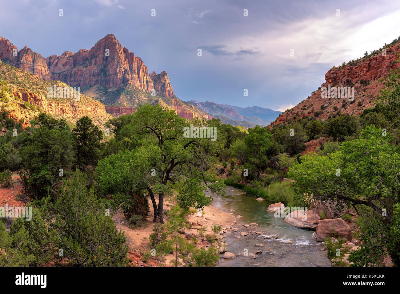 Tramonto a sentinella montagna nel parco nazionale di Zion e il fiume vergine, Utah. Foto Stock
