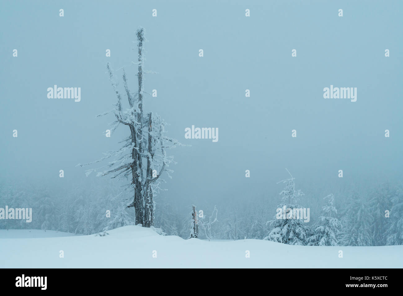 Fantastico paesaggio invernale Foto Stock