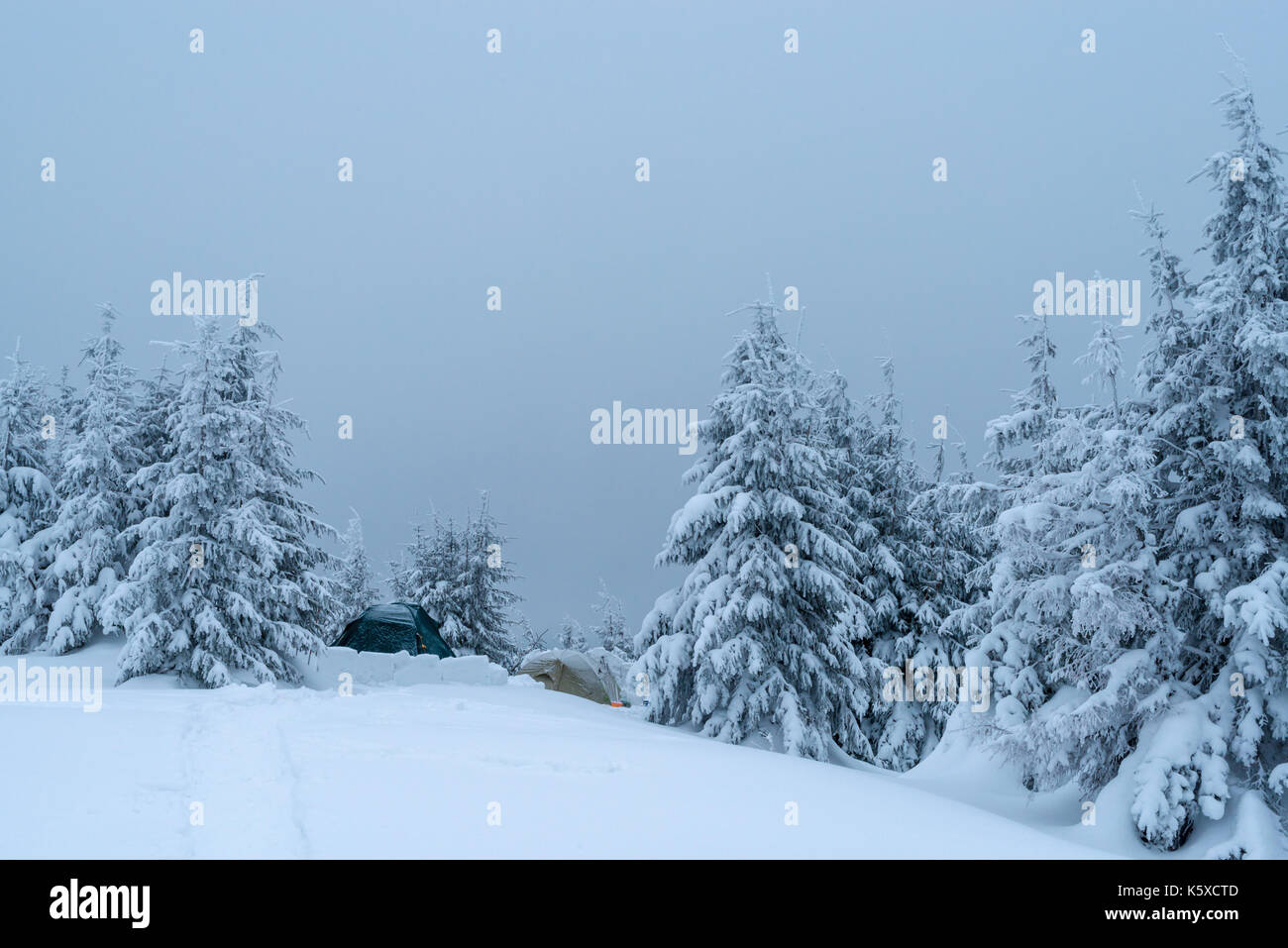 Fantastico paesaggio invernale Foto Stock