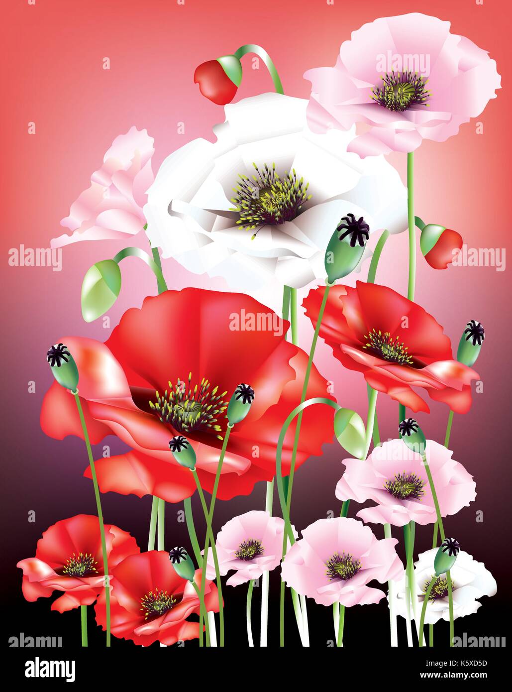 Abstract papaveri colorati con boccioli di fiori e baccelli di semi Illustrazione Vettoriale