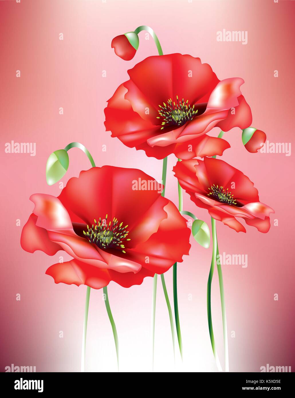 Abstract papaveri colorati con boccioli di fiori e baccelli di semi Illustrazione Vettoriale