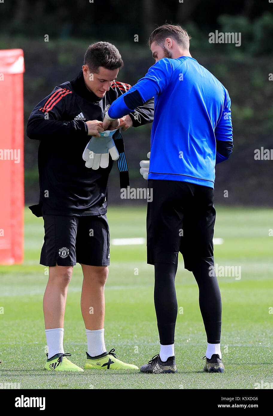 Il manchester united ander herrera aiuta il manchester united portiere  david de gea mettere la sua guanti durante la sessione di formazione presso  il complesso di Aon, Carrington Foto stock - Alamy