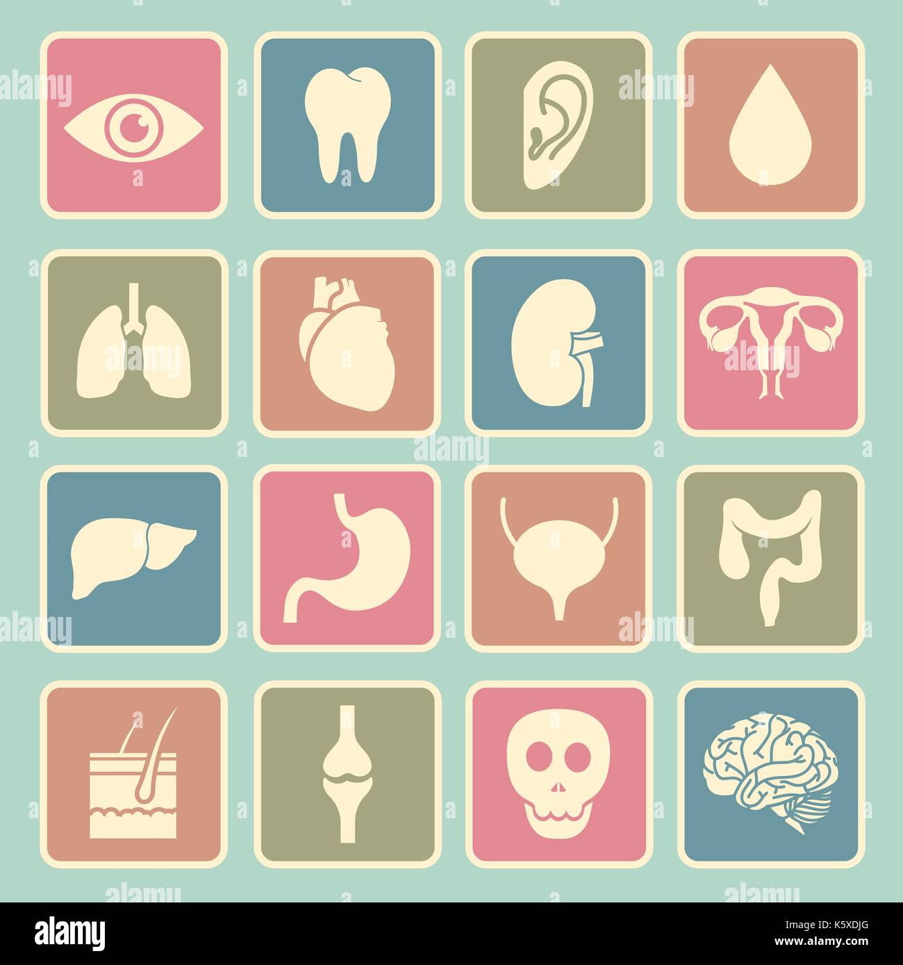 Gli organi umani icona Illustrazione Vettoriale