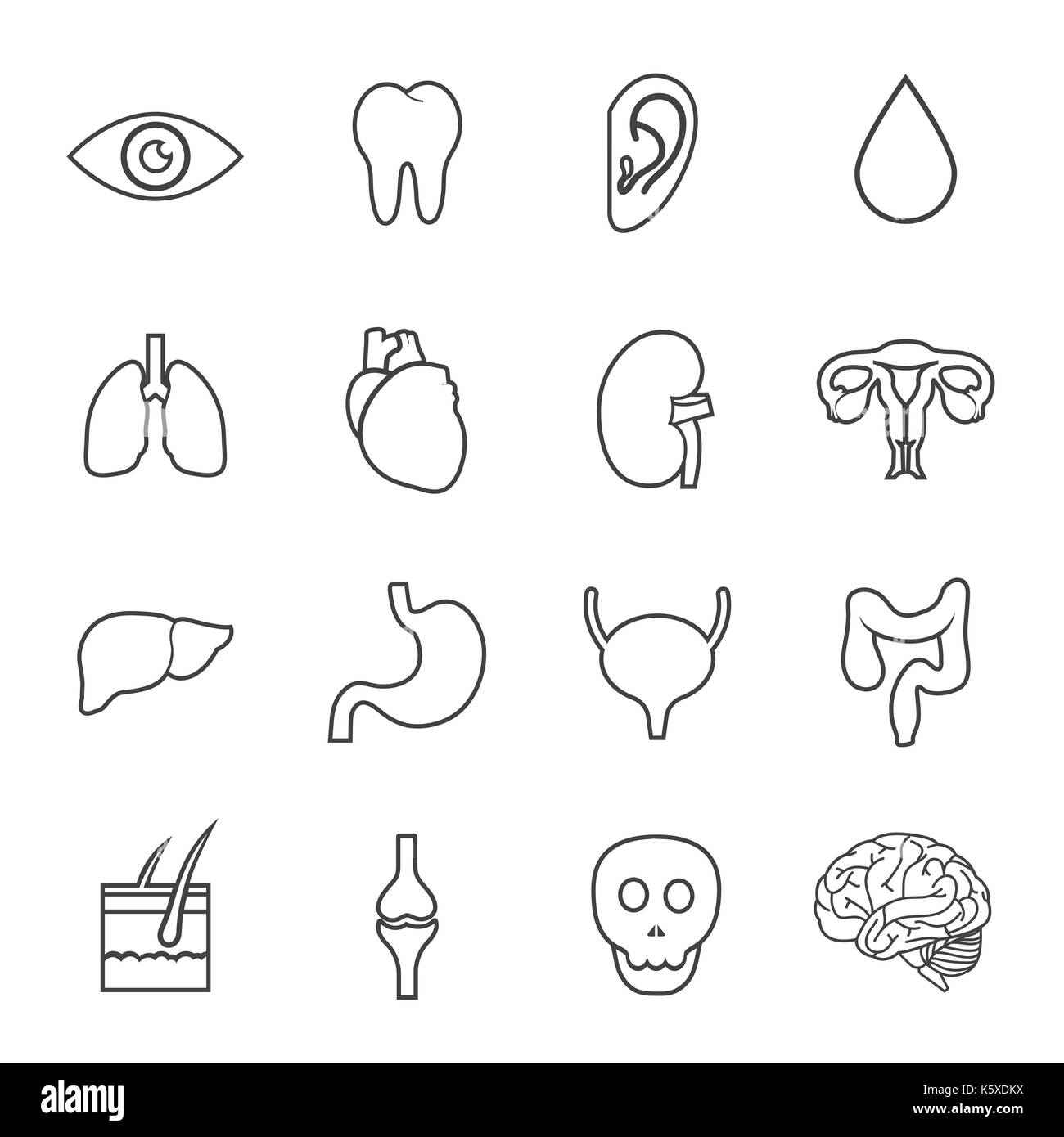 Gli organi umani icona Illustrazione Vettoriale