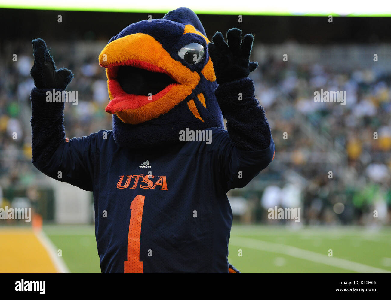 Waco, Texas, Stati Uniti d'America. 9 Sep, 2017. UTSA Roadrunners mascotte durante la prima metà del NCAA Football gioco tra il Baylor Orsi e la UTSA Roadrunners a McLane Stadium di Waco, Texas. Matthew Lynch/CSM/Alamy Live News Foto Stock