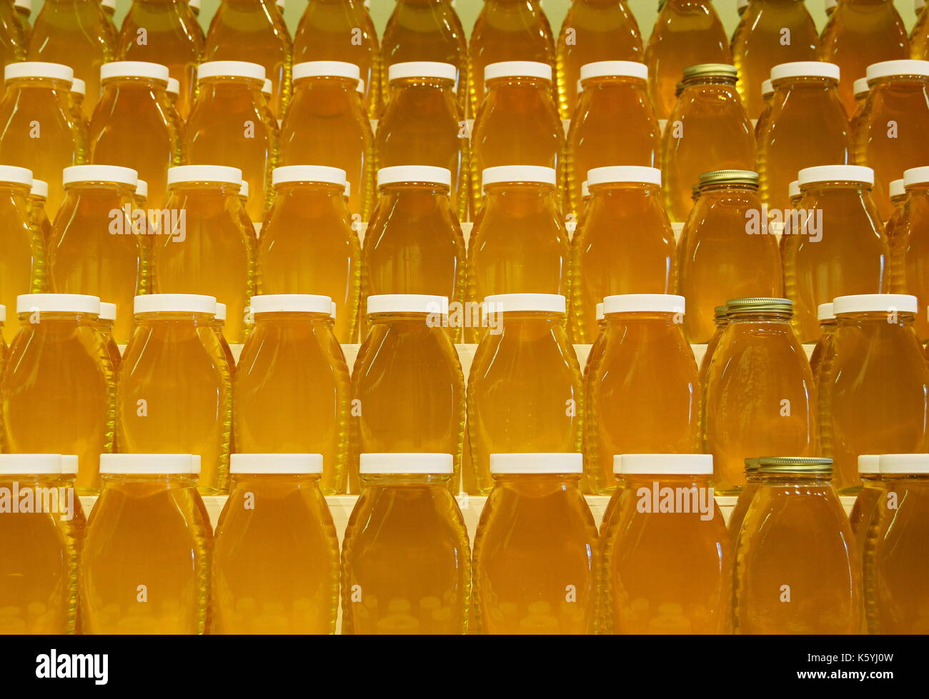 Vasi non marcato di colore giallo miele sugli scaffali Foto Stock