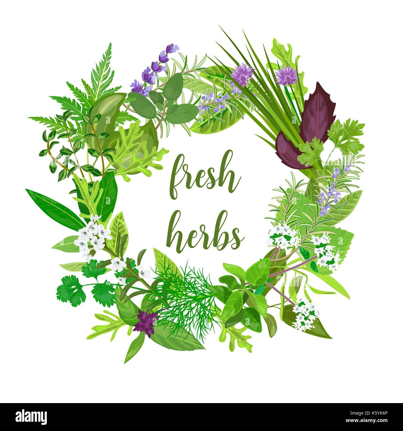 Ghirlanda fatta di realistica erbe e fiori con testo. erbe e spezie Illustrazione Vettoriale