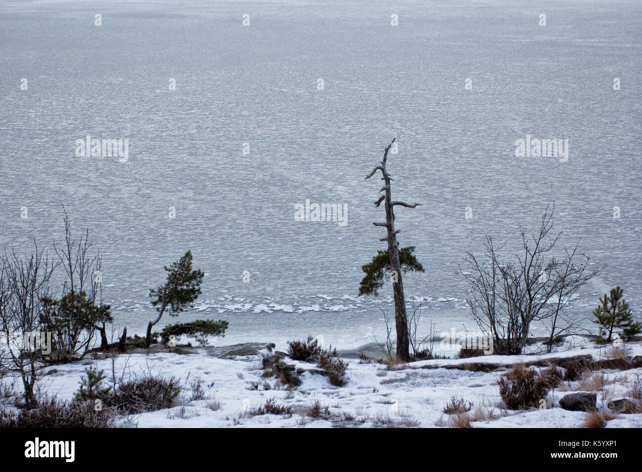 Vista di iced fiordo di Oslo in inverno a Oslo NORVEGIA Foto Stock