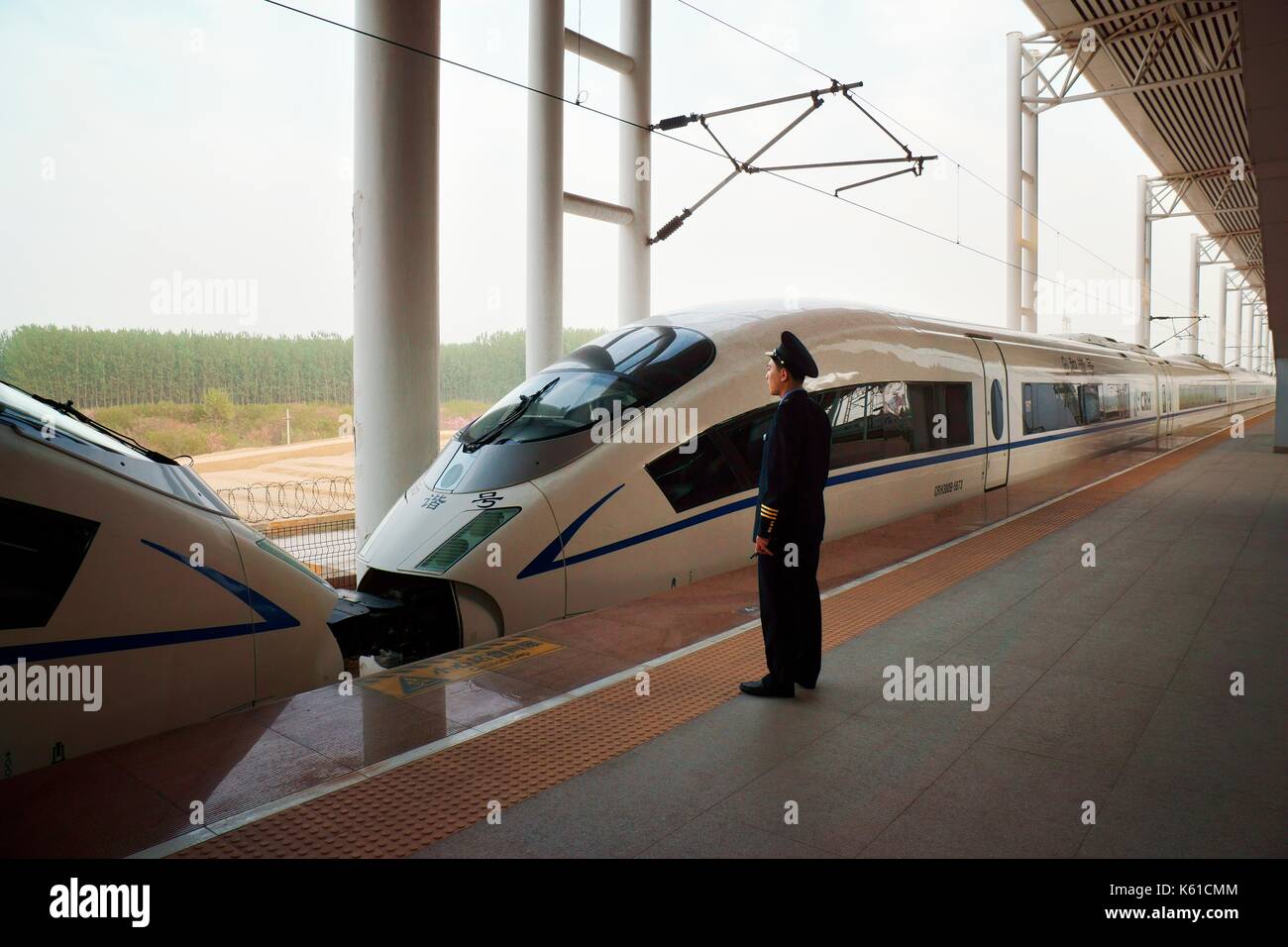 Electric treno bullet di Pechino a Shanghai ad alta velocità ferroviaria dezhou presso la stazione ferroviaria est, provincia di Shandong, Cina Foto Stock