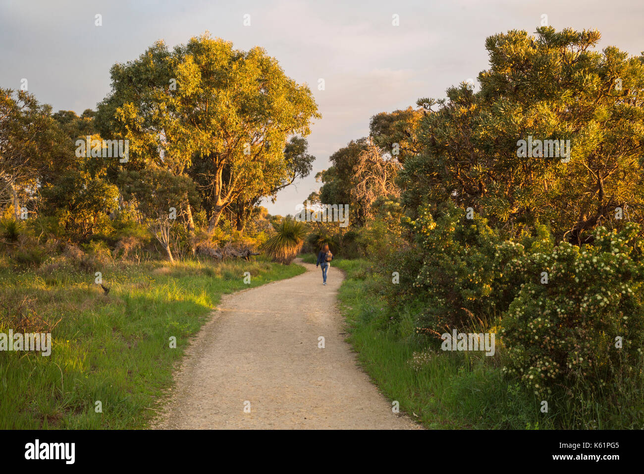 Donna che cammina giù per un sentiero attraverso la palude Star Riserva Macchia suburbana Foto Stock