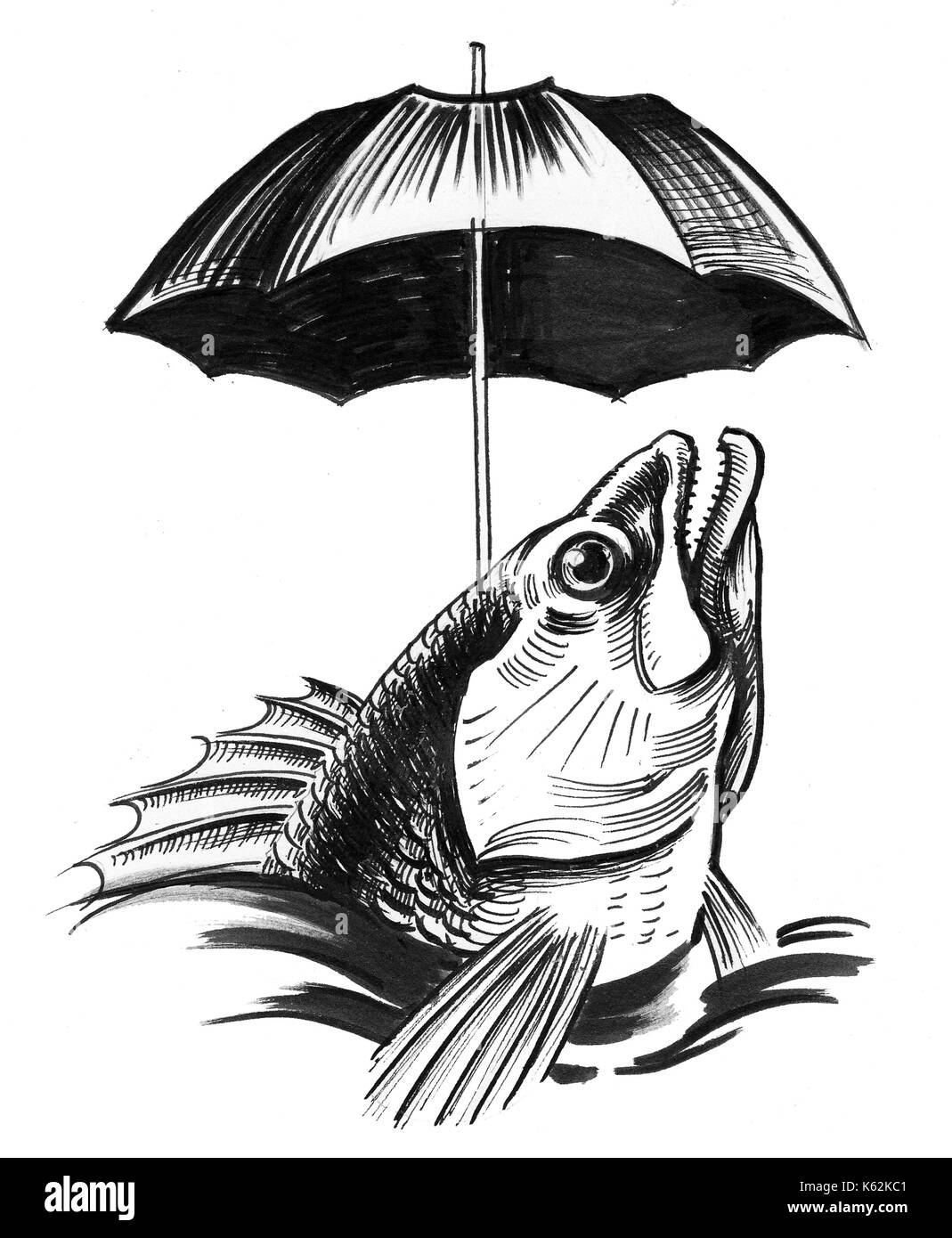 Ombrello di pesce immagini e fotografie stock ad alta risoluzione - Alamy