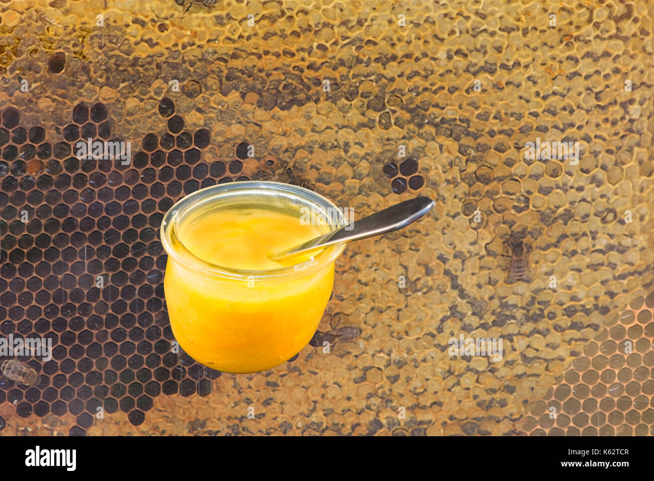 In prossimità di una colonia di api sul nido in una fattoria api. Messa a fuoco selettiva, copia dello spazio. Foto Stock