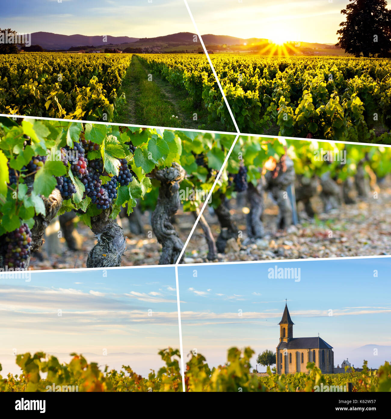 Beaujolais viaggio rettangolare photo collage Foto Stock