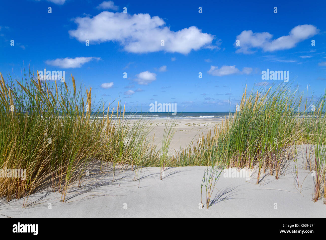 Vista sulla spiaggia e sul mare dalla sommità di una duna cresciuto con erba marram Foto Stock Vista sulla spiaggia e sul mare dalla sommità di una duna cresciuto con erba marram Foto Stock