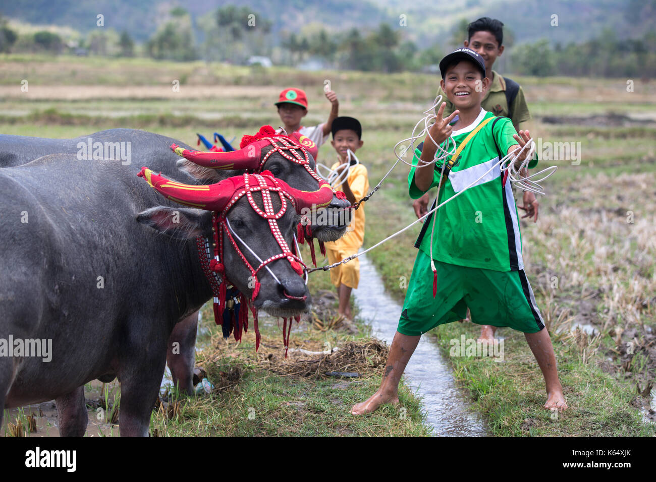 Jereweh, sumbawa barat, Indonesia - 10 settembre 2017: locale buffalo race competition tenutasi il sumbawa in jereweh, Indonesia il 10 settembre 2017. Foto Stock