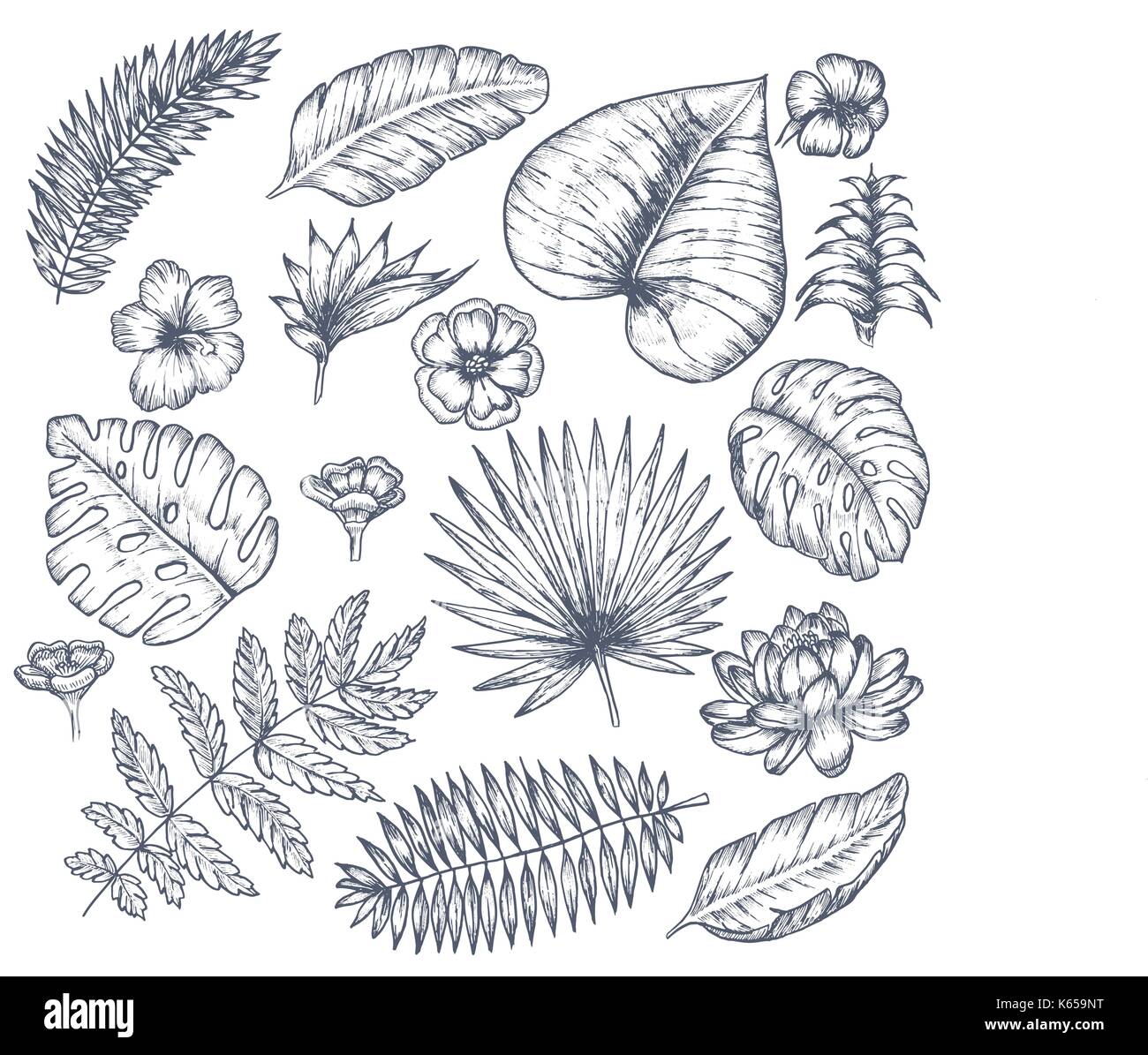 Sfondo tropicale con foglie tropicali e fiori Illustrazione Vettoriale