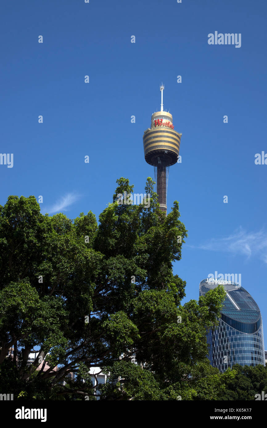 La Torre di Sydney occhio al centro commerciale Westfield CBD Sydney Australia Foto Stock