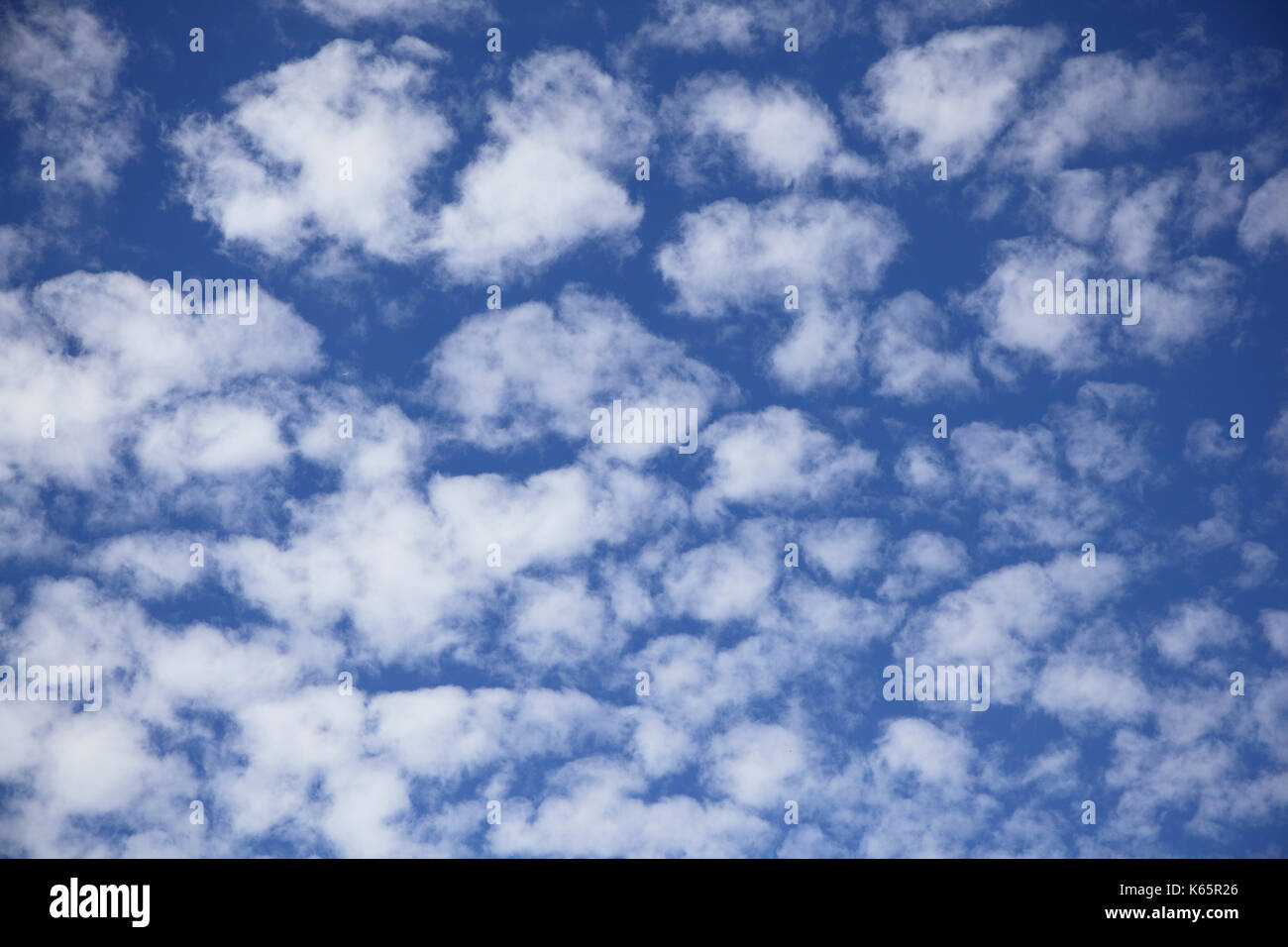 Cirrocumulus, lanosa nuvole e nuvole di un cattivo tempo anteriore, Austria Foto Stock