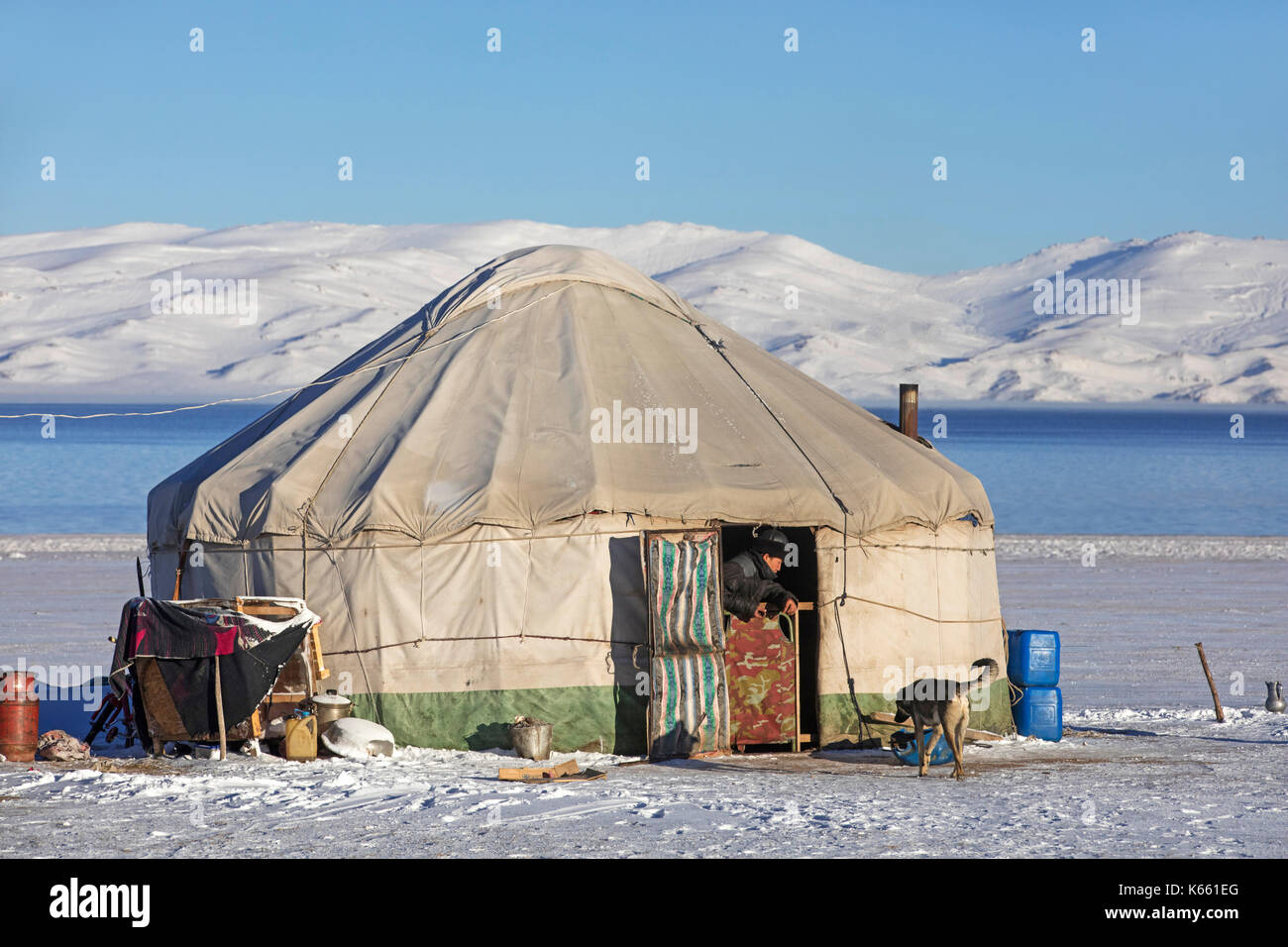 Uomo kirghiso in apertura di yurt tradizionale nella neve lungo Song Kul / Song Kol lago nelle montagne Tian Shan, provincia Naryn, Kirghizistan Foto Stock