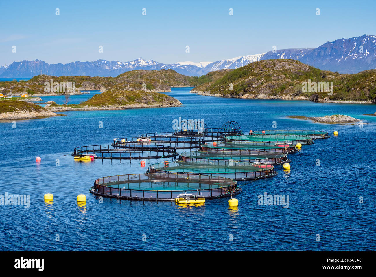 Allevamento di salmoni di allevamento nel fiordo norvegese sulla panoramica costa nord di mare. Troms, Norvegia, Scandinavia, Europa Foto Stock