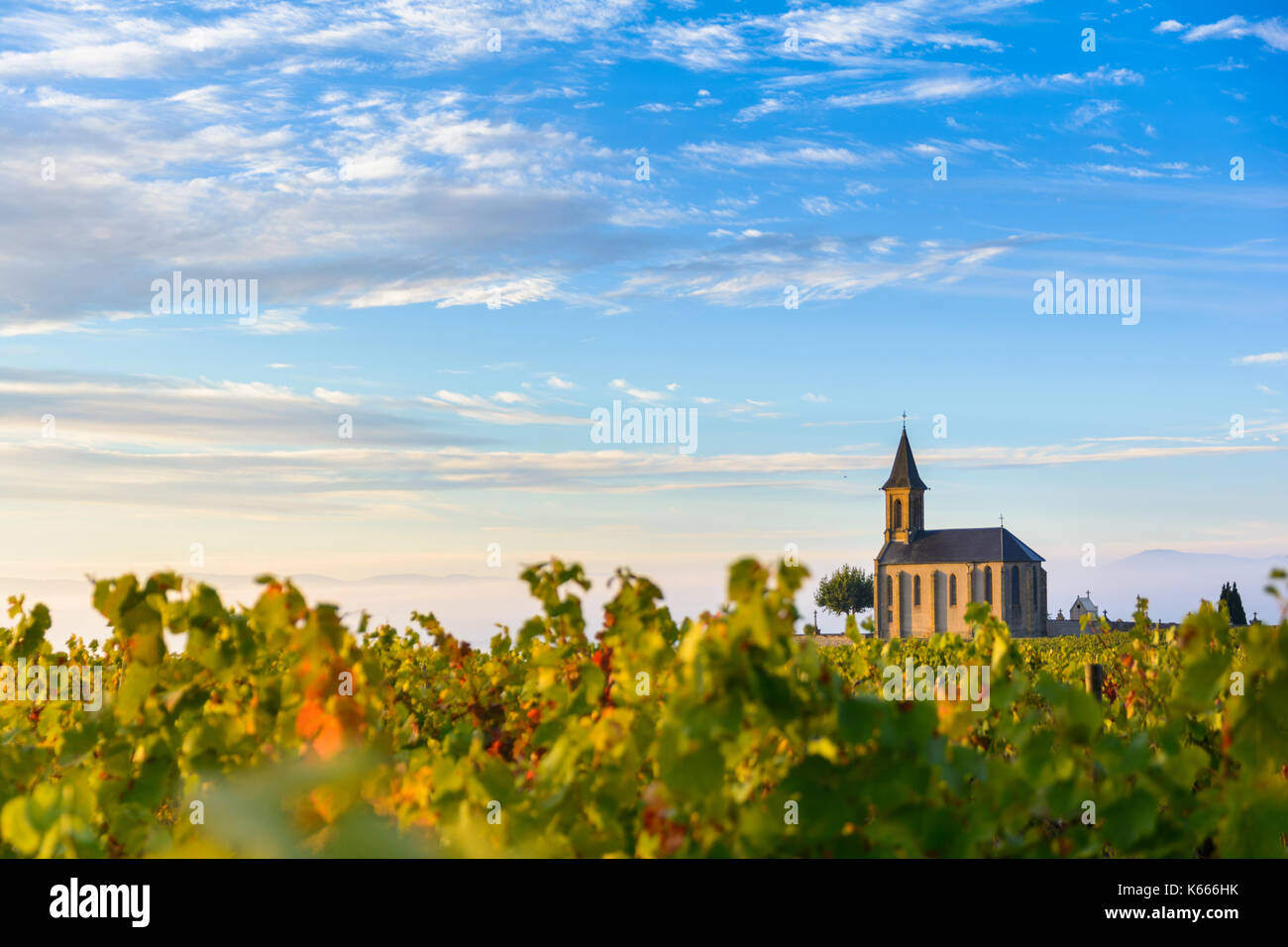 I vigneti e la chiesa nel Beaujolais con un grande cielo blu di sunrise, Francia Foto Stock