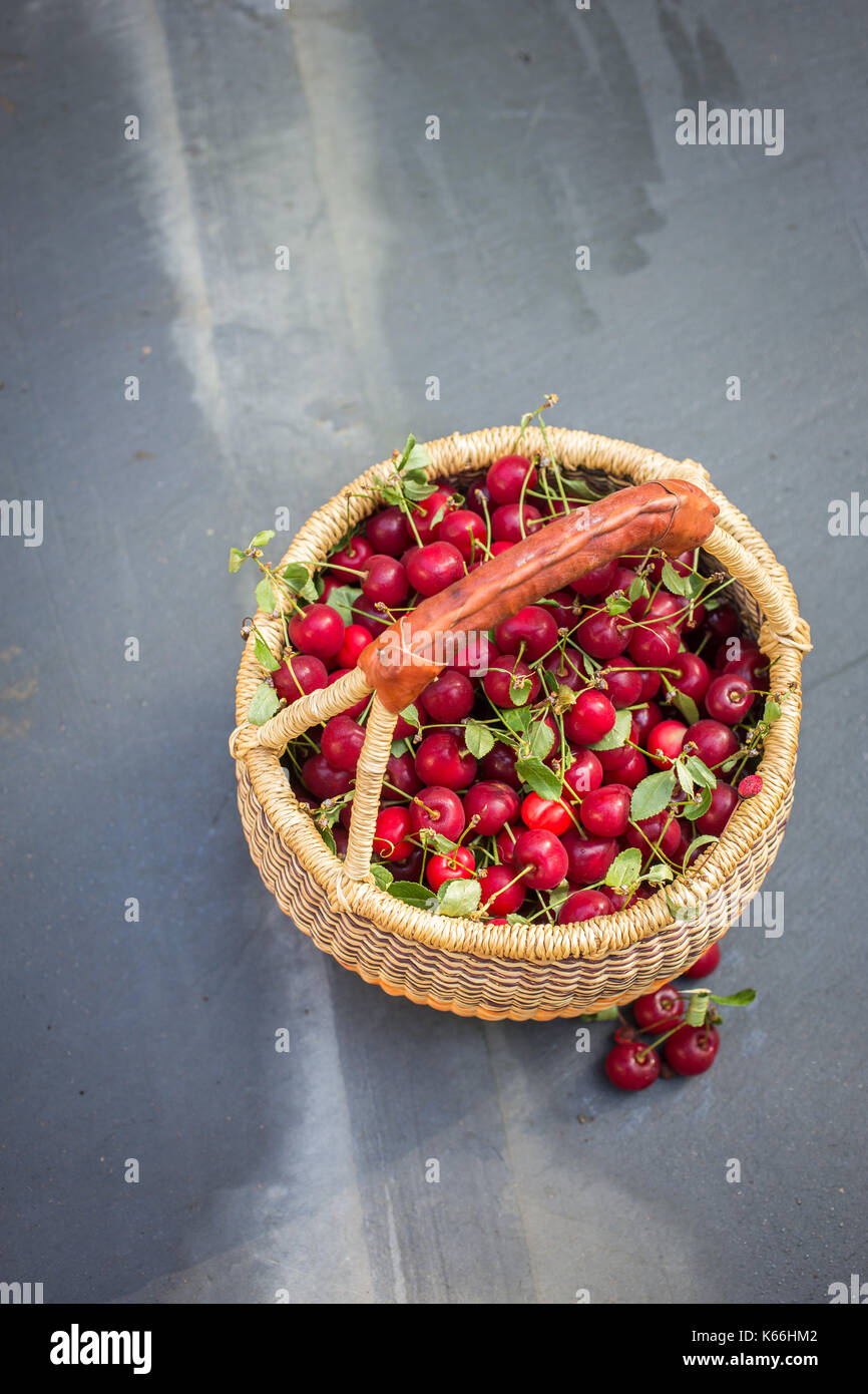 Cesto pieno di freschi maturi rosso ciliegia frutta. Foto Stock