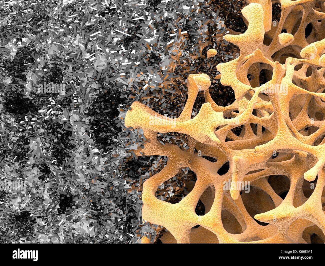 Computer illustrazione di una struttura ossea e nanomateriale. Una fetta di osso corticale struttura e nanomateriale è raffigurante la rigenerazione ossea. Foto Stock