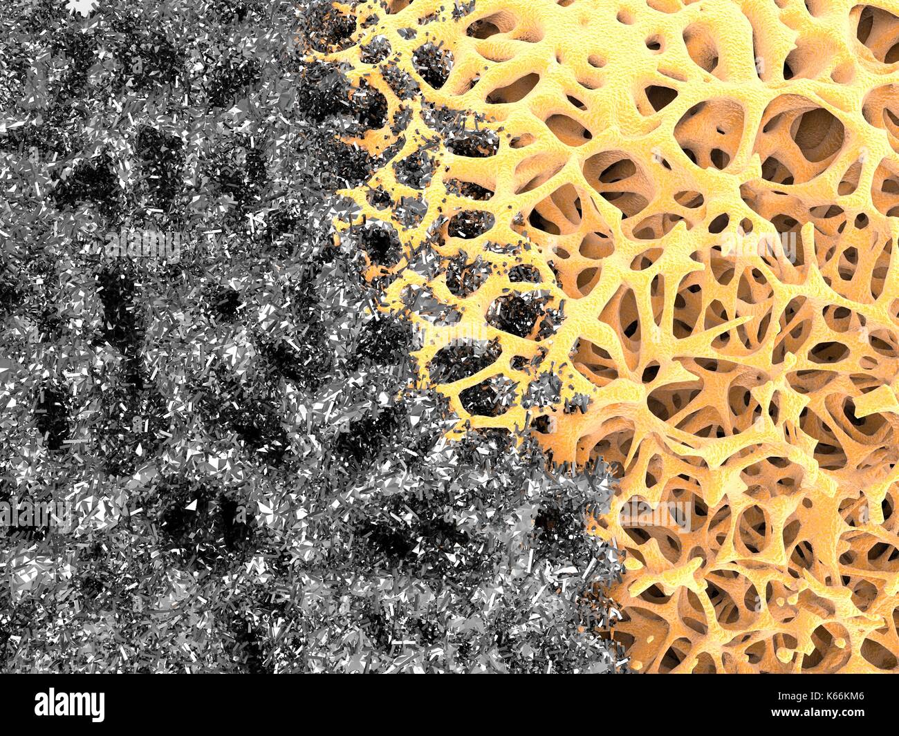 Computer illustrazione di una struttura ossea e nanomateriale. Una fetta di osso corticale struttura e nanomateriale è raffigurante la rigenerazione ossea. Foto Stock