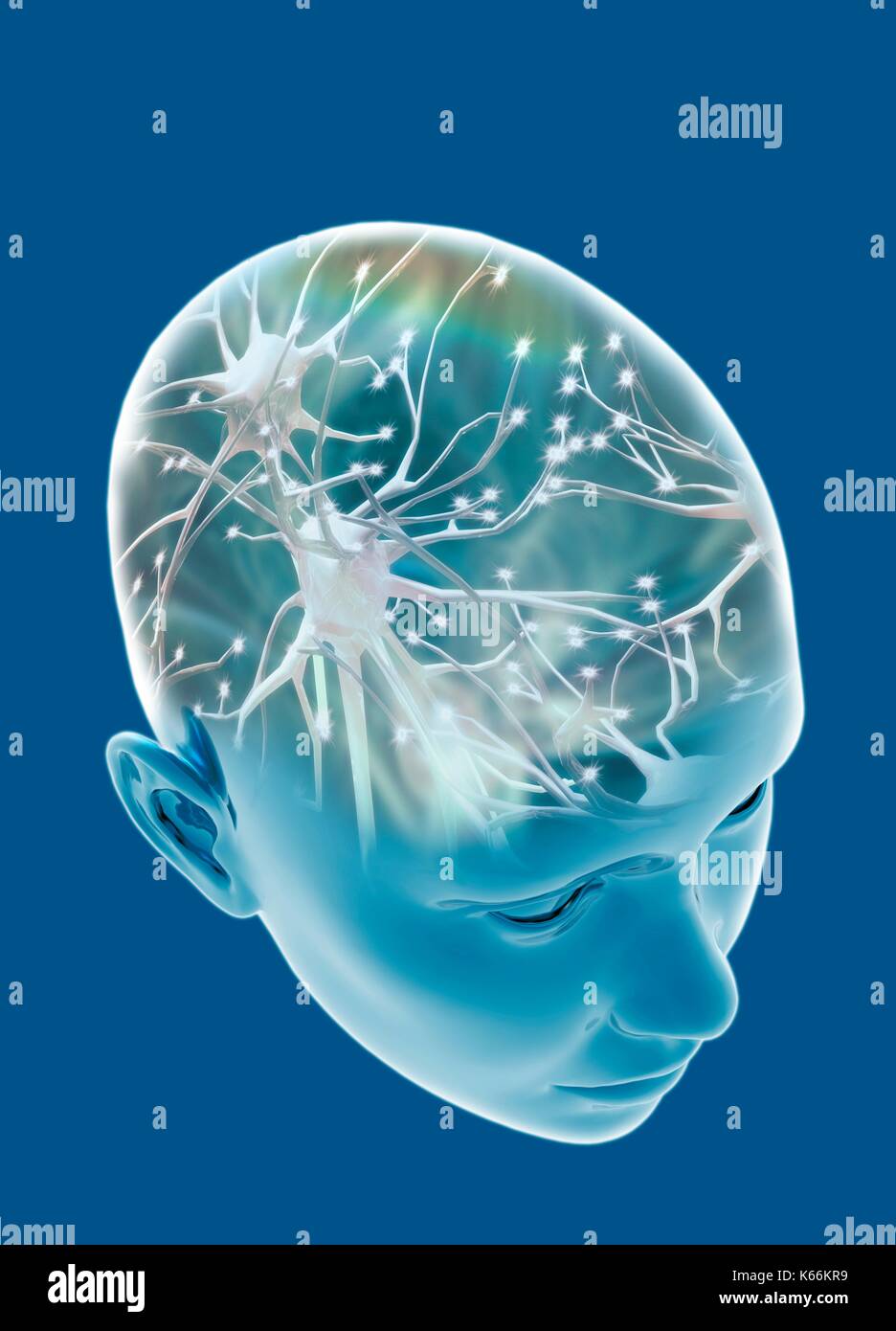 Testa umana con cellule nervose, illustrazione. Foto Stock