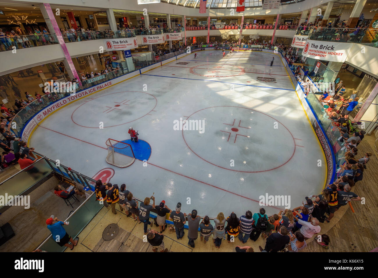 Hockey su ghiaccio arena del West Edmonton Mall. Foto Stock